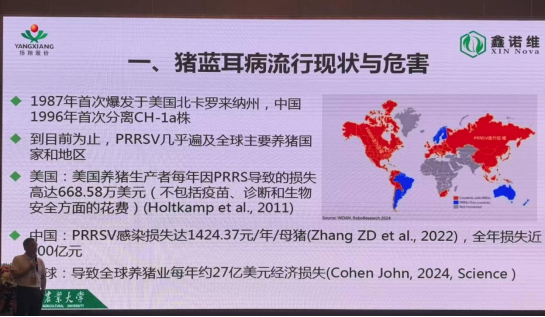 1767489171101296.png image.png